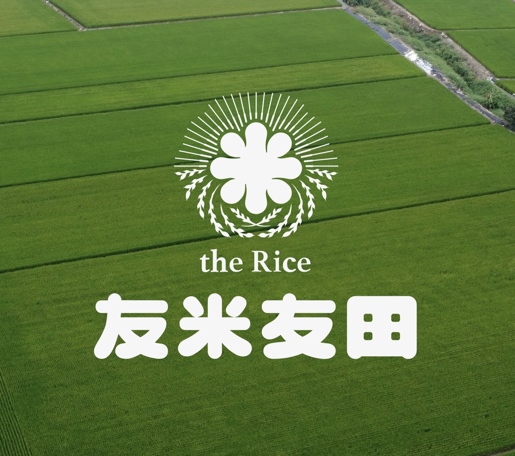 友米友田